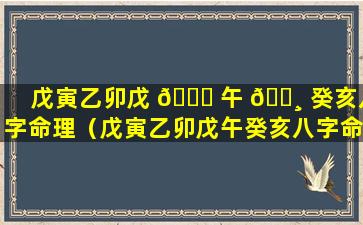 戊寅乙卯戊 🕊 午 🌸 癸亥八字命理（戊寅乙卯戊午癸亥八字命理详解）